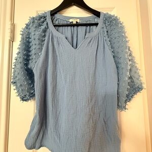 Umgee Light Blue Sheer Sleeve Top